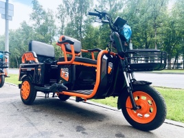 Электротрицикл Kugoo T3