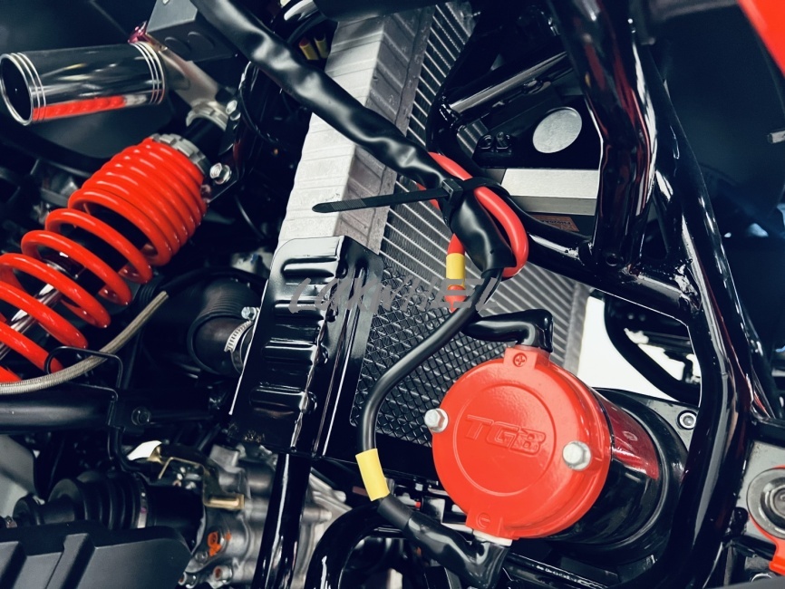Квадроцикл TGB blade 1000 LTX EPS Premium фото 23